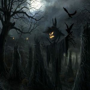 Meet your Posher, Vickie